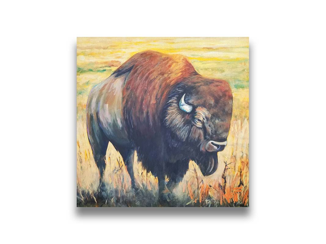 A painting of an American bison, standing in a light yellow field. Printed on canvas.