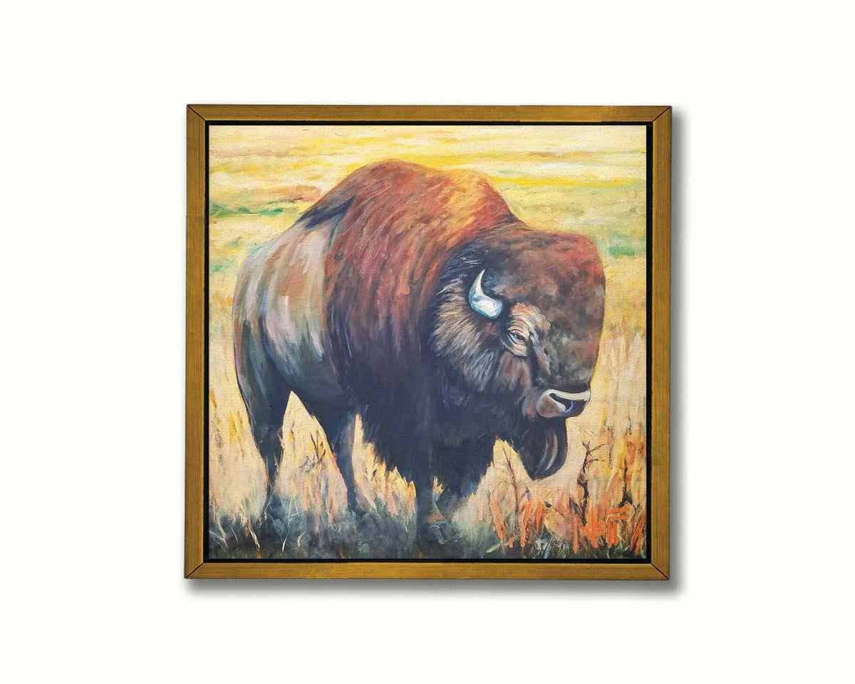 A painting of an American bison, standing in a light yellow field. Printed on canvas in a float frame.