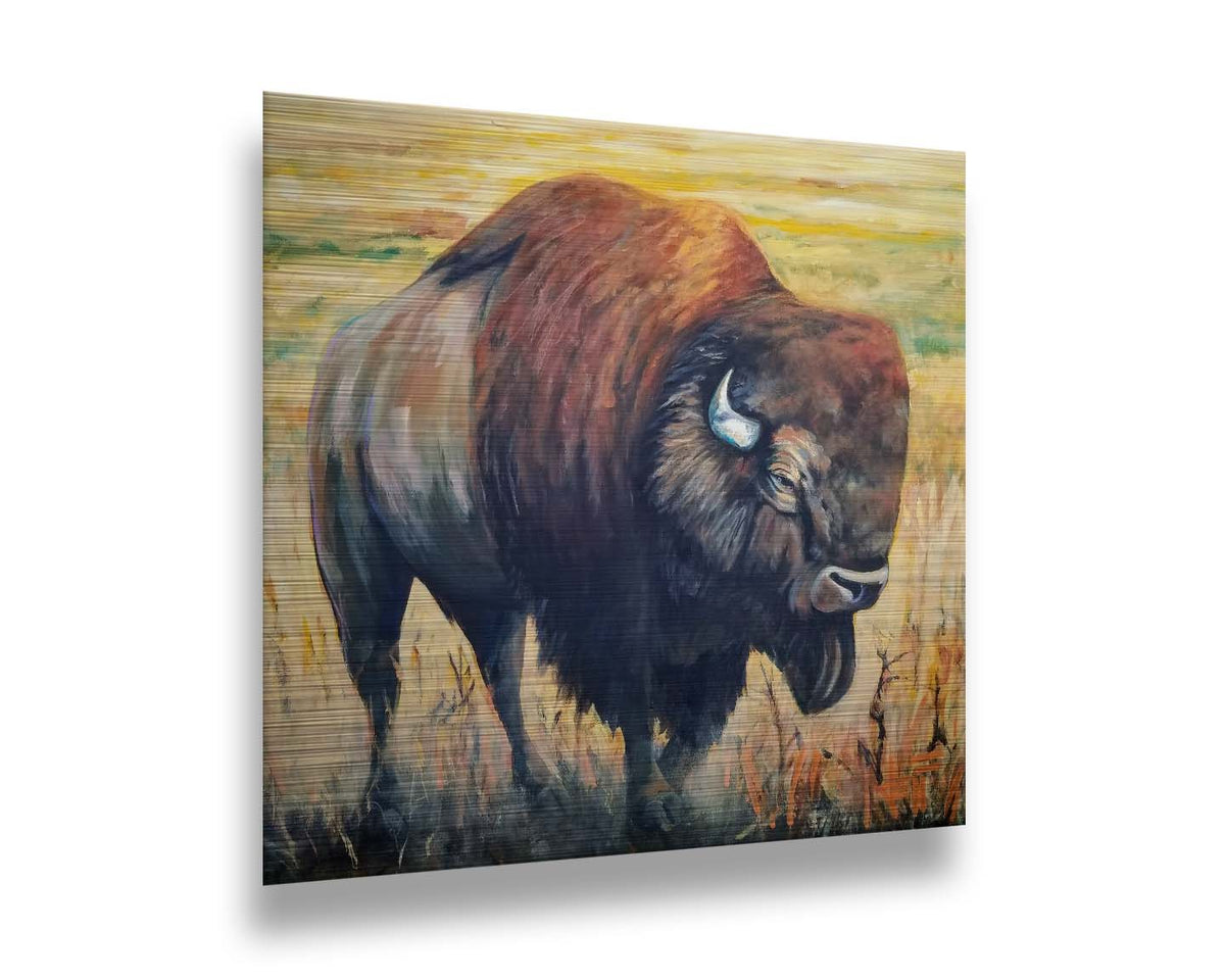 A painting of an American bison, standing in a light yellow field. Printed on metal.