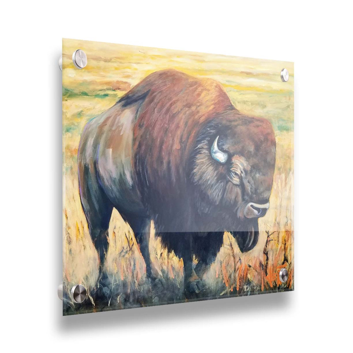 A painting of an American bison, standing in a light yellow field. Printed on acrylic.