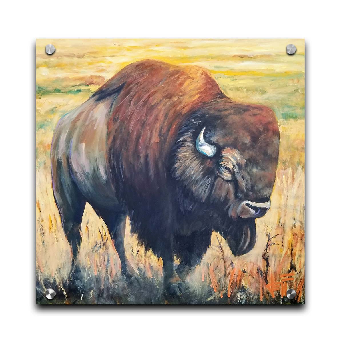 A painting of an American bison, standing in a light yellow field. Printed on acrylic.