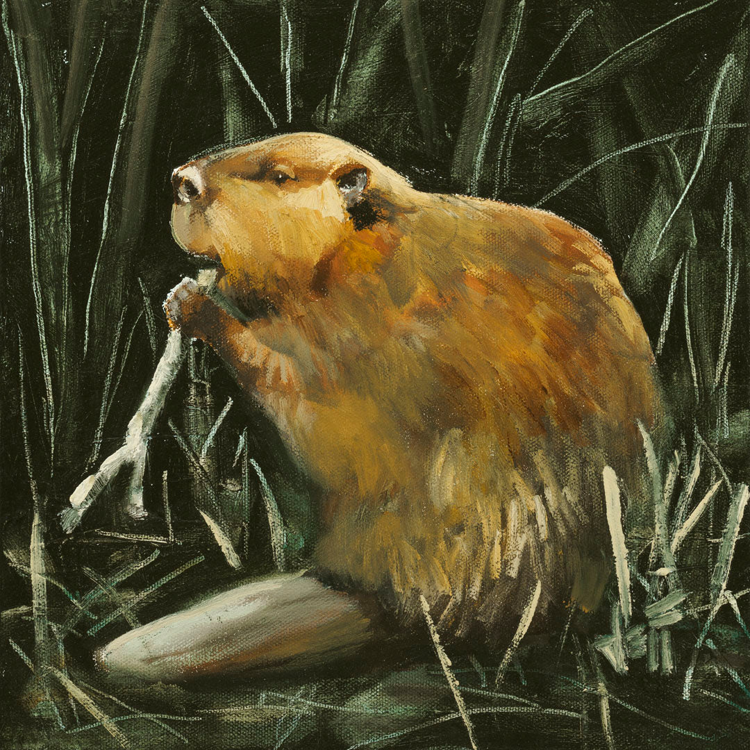 A portrait painting of a beaver chewing on a stick against a dark thicket.