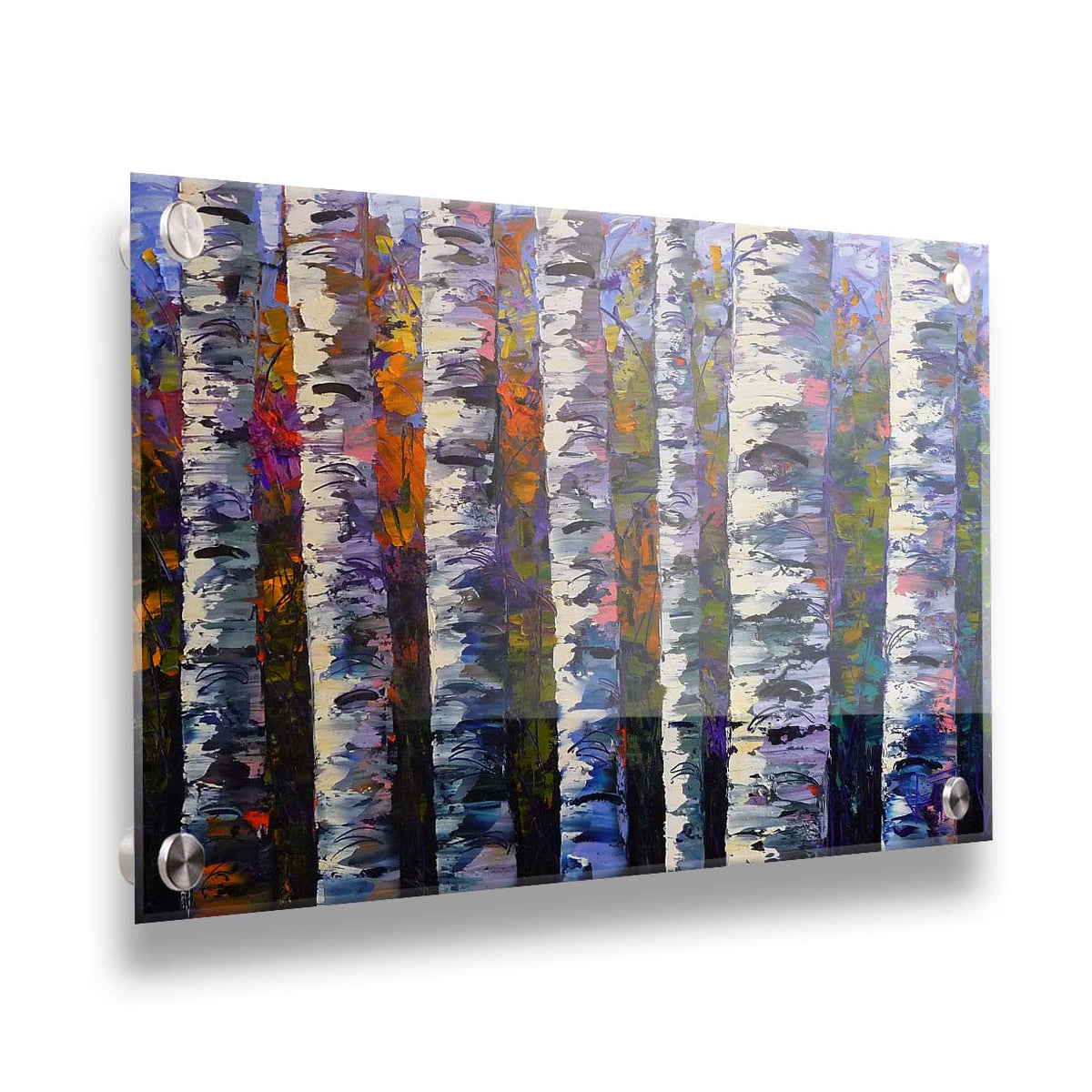 An expressive impasto painting of a birch forest. Parallel white trunks shadowed with blue and purple are backed by a rainbow of leaves. Printed on acrylic.