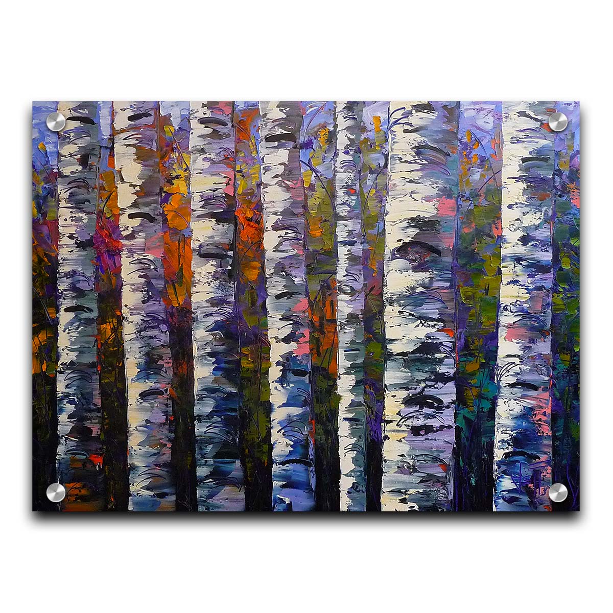 An expressive impasto painting of a birch forest. Parallel white trunks shadowed with blue and purple are backed by a rainbow of leaves. Printed on acrylic.