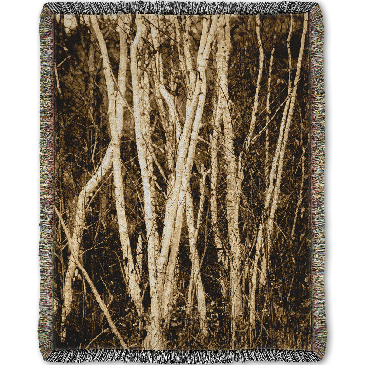 A woven throw blanket designed with a sepia photo of a cluster of birch trees.