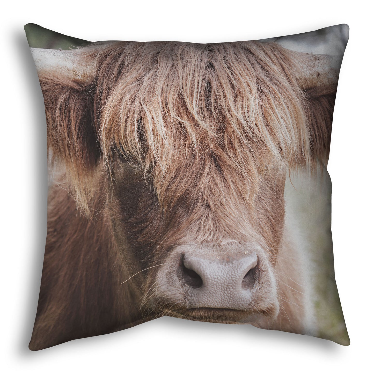 A throw pillow designed with a closeup portrait photograph of a fluffy highland cow.