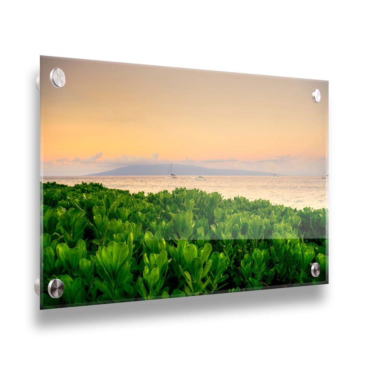 A photo overlooking the sea from Kaanapali beach in Hawaii. Green plants fill the foreground, and boats sail on the water in the distance against a gentle orange sky and purple clouds. Printed on acrylic.