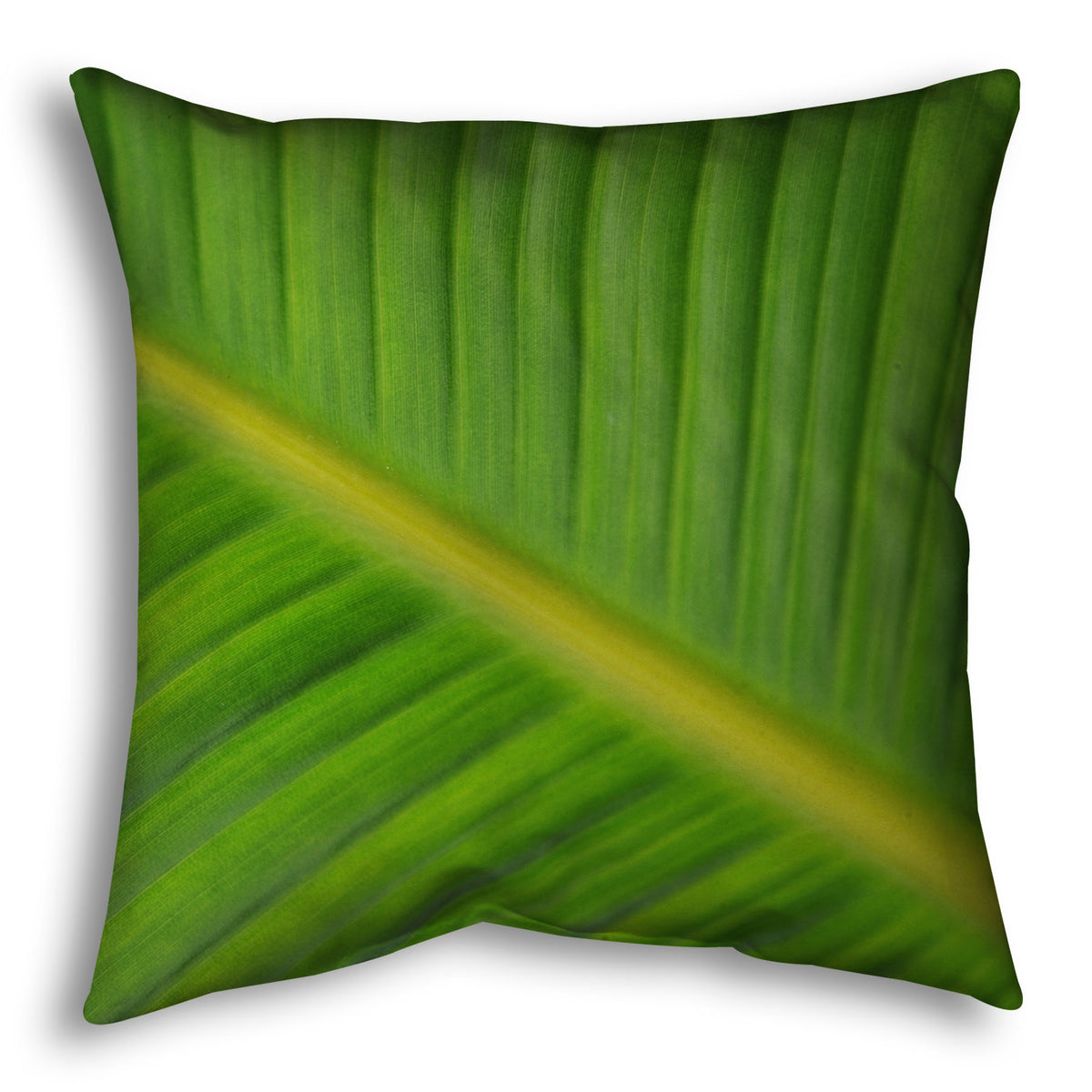 A throw pillow designed with a closeup photo of a leaf of a bird of paradise palm, showing all the detail of the midrib and veins of the leaf.