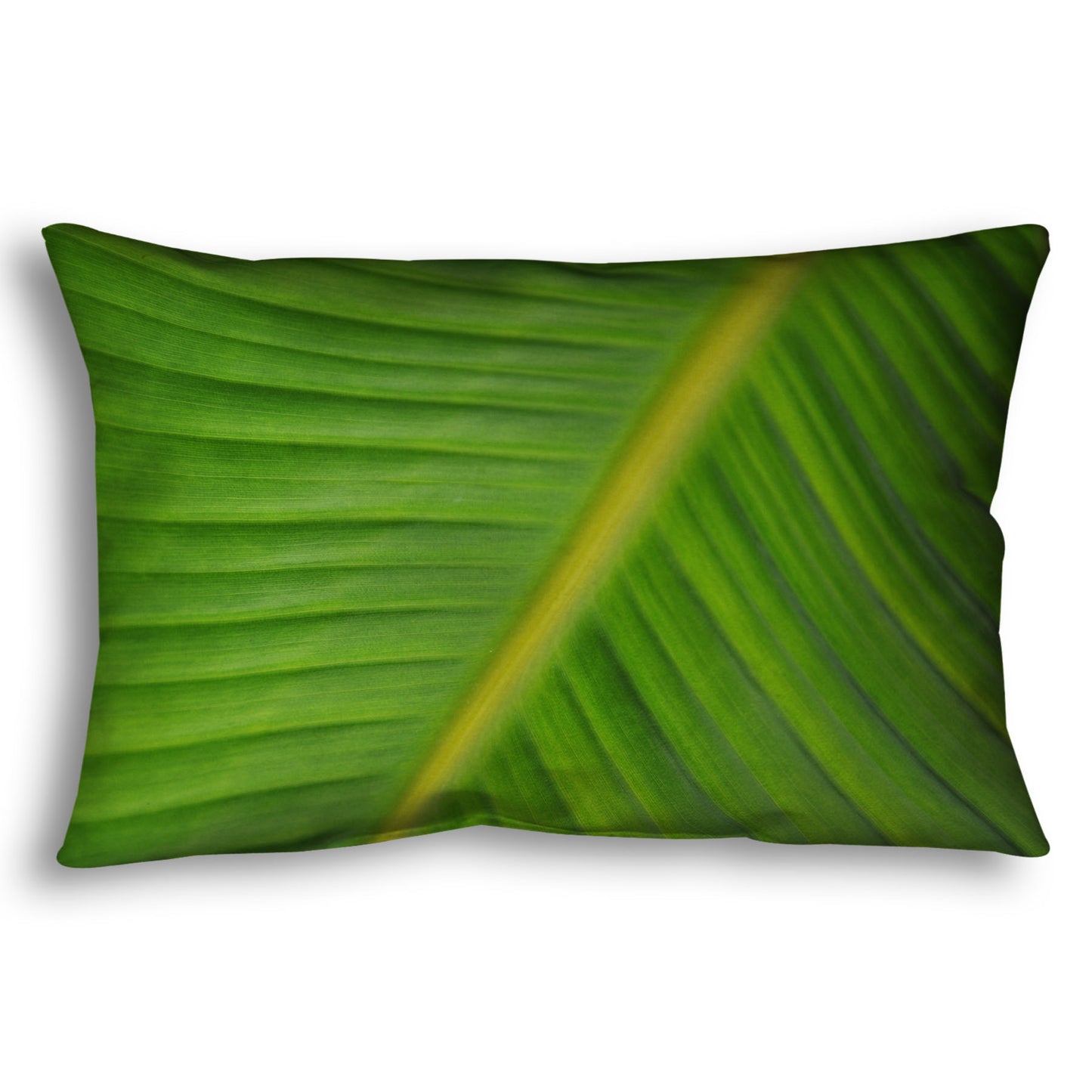 A throw pillow designed with a closeup photo of a leaf of a bird of paradise palm, showing all the detail of the midrib and veins of the leaf.