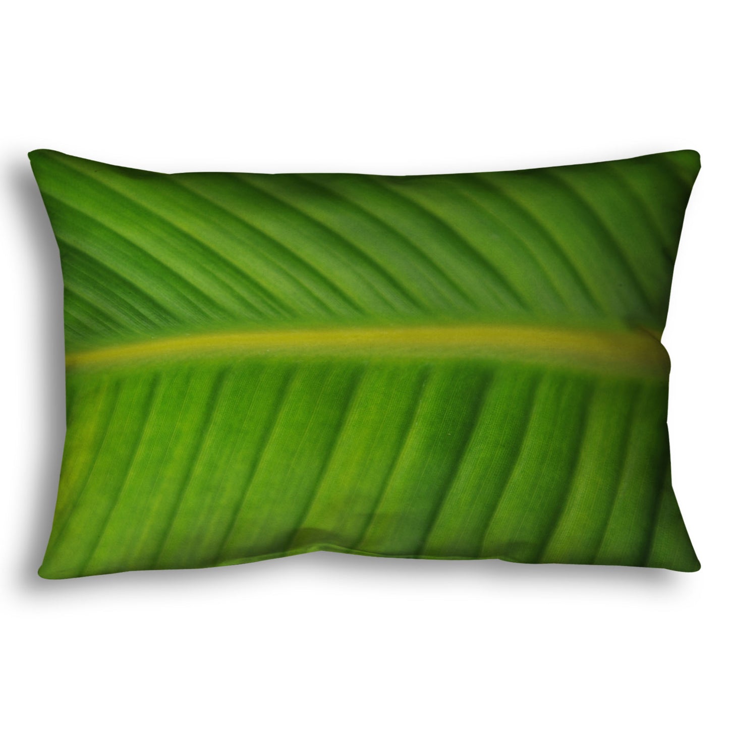 A throw pillow designed with a closeup photo of a bird of paradise leaf, showing all the detail of the midrib and veins of the leaf.