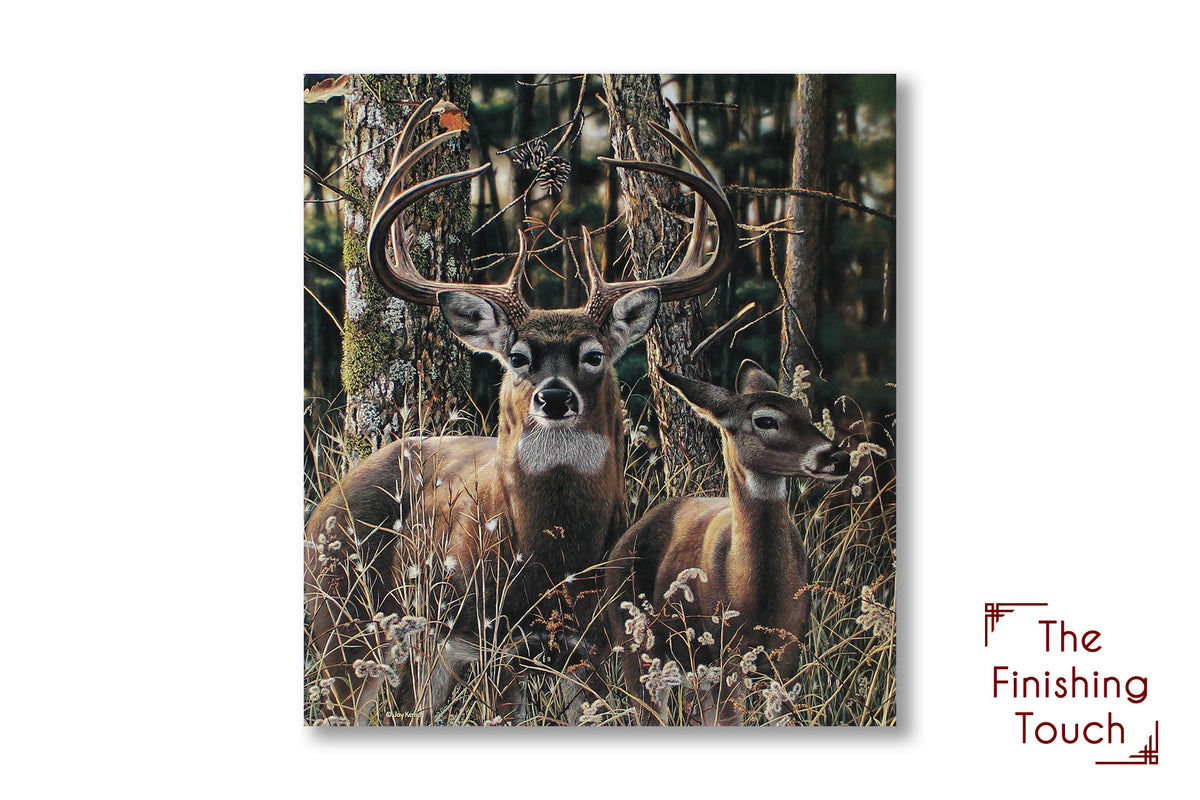 A portrait painting of two deer, a buck and a doe, standing amidst the natural colors of the forest.