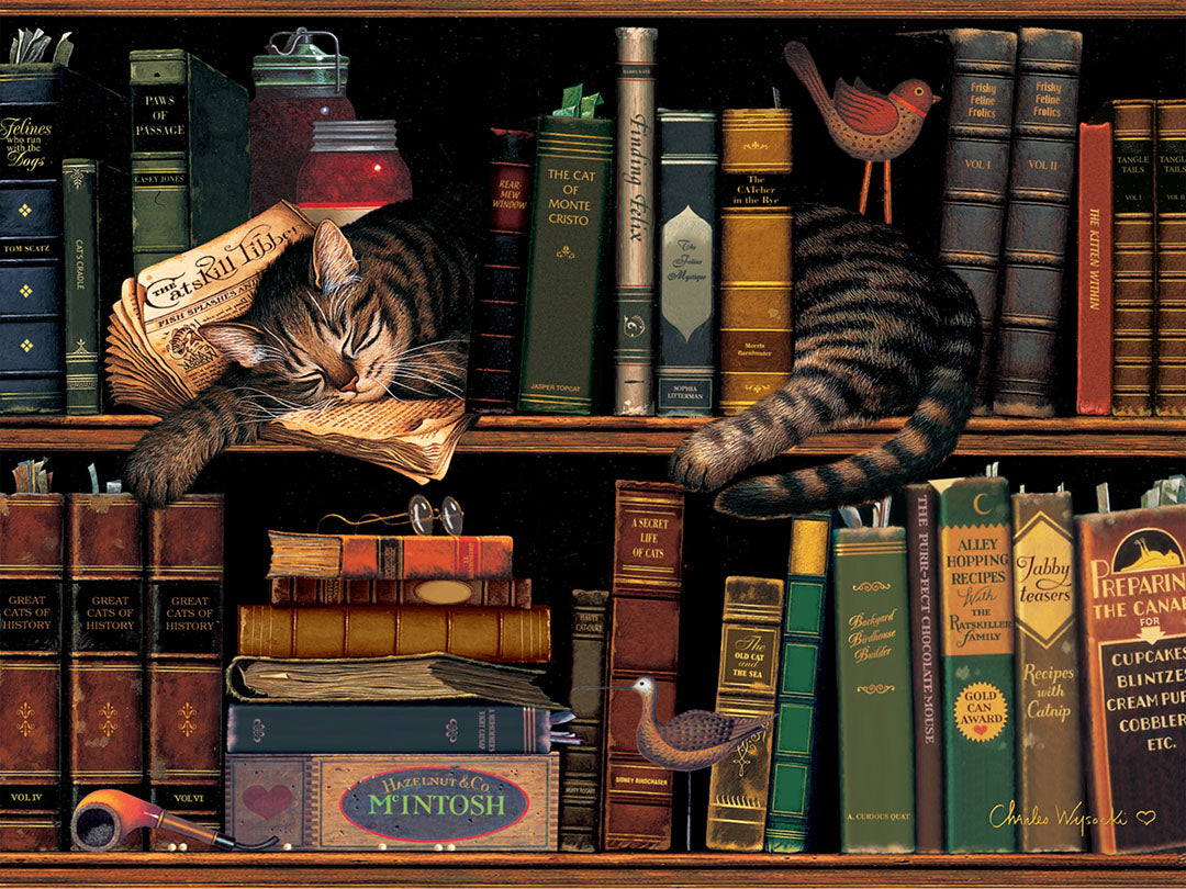 A whimsical painting of a cat sleeping on a bookshelf, nestled between the titles and knick-knacks.