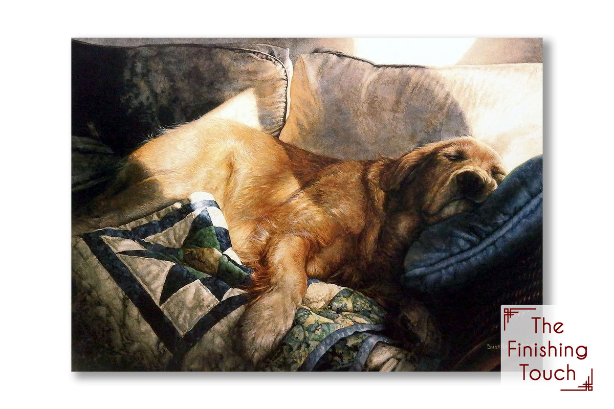 A mixed media artwork in watercolor, colored pencil, and india ink depicting a peaceful golden retriever sleeping soundly on a stack of comfy couch cushions, pillows, and quilts.