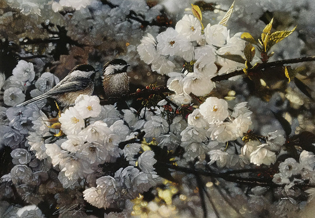 A painting of two black-capped chickadee birds perched on a white blossoming tree branch.