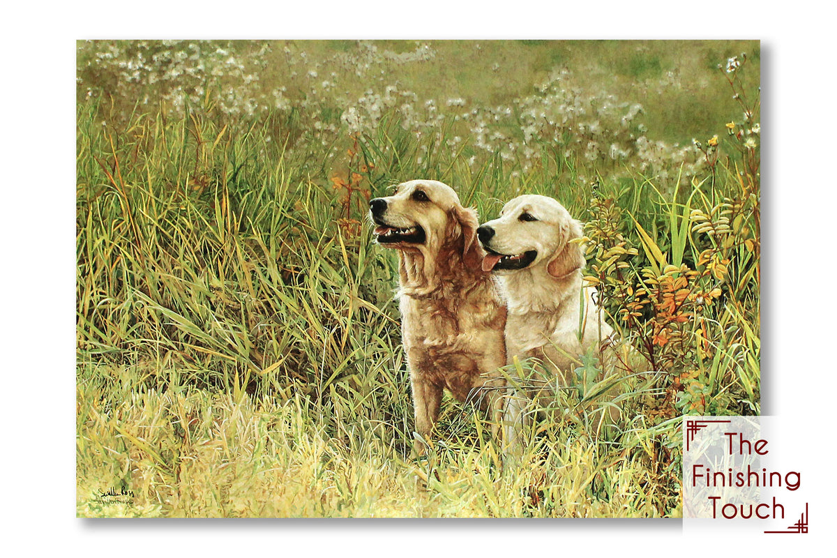 A painting of two retriever dogs sitting in tall grasses and wild plants.