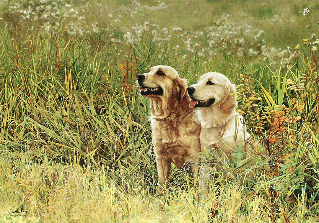A painting of two retriever dogs sitting in tall grasses and wild plants.