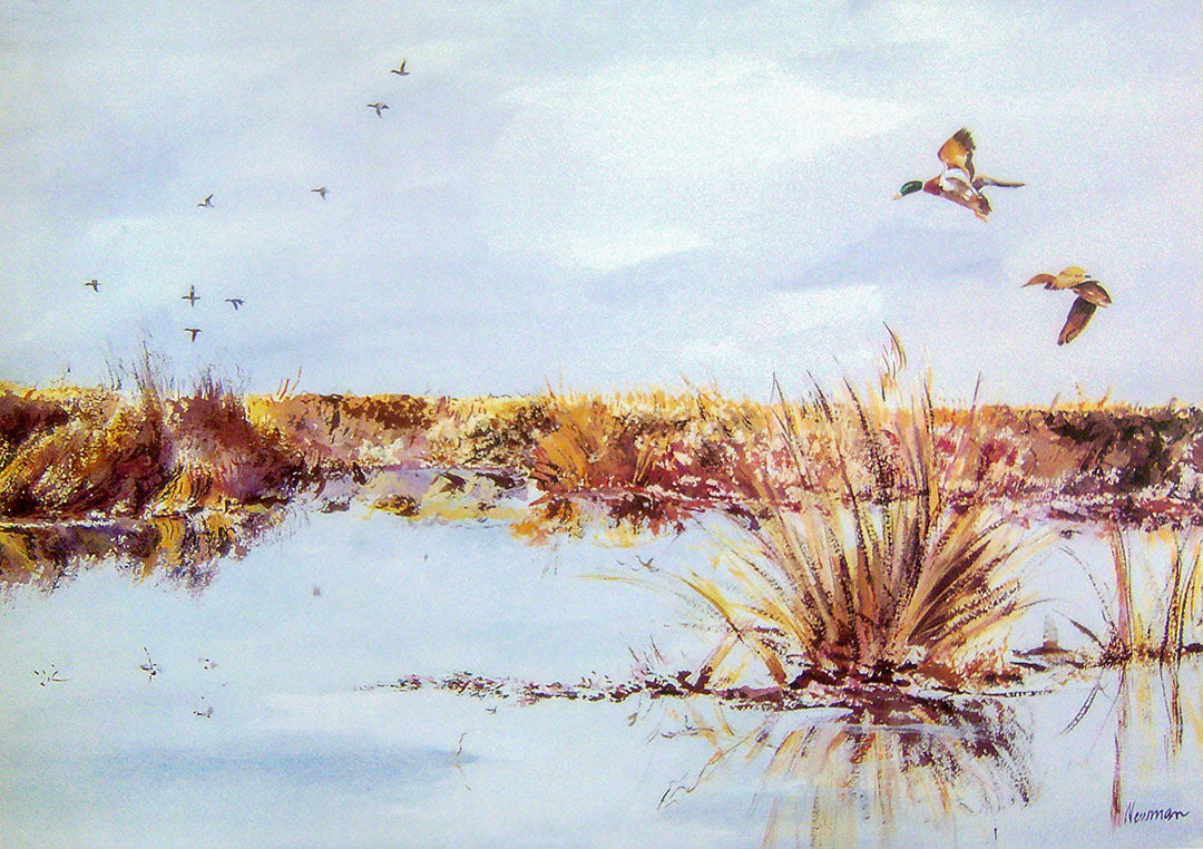 A painting of mallard ducks flying over reflective water.