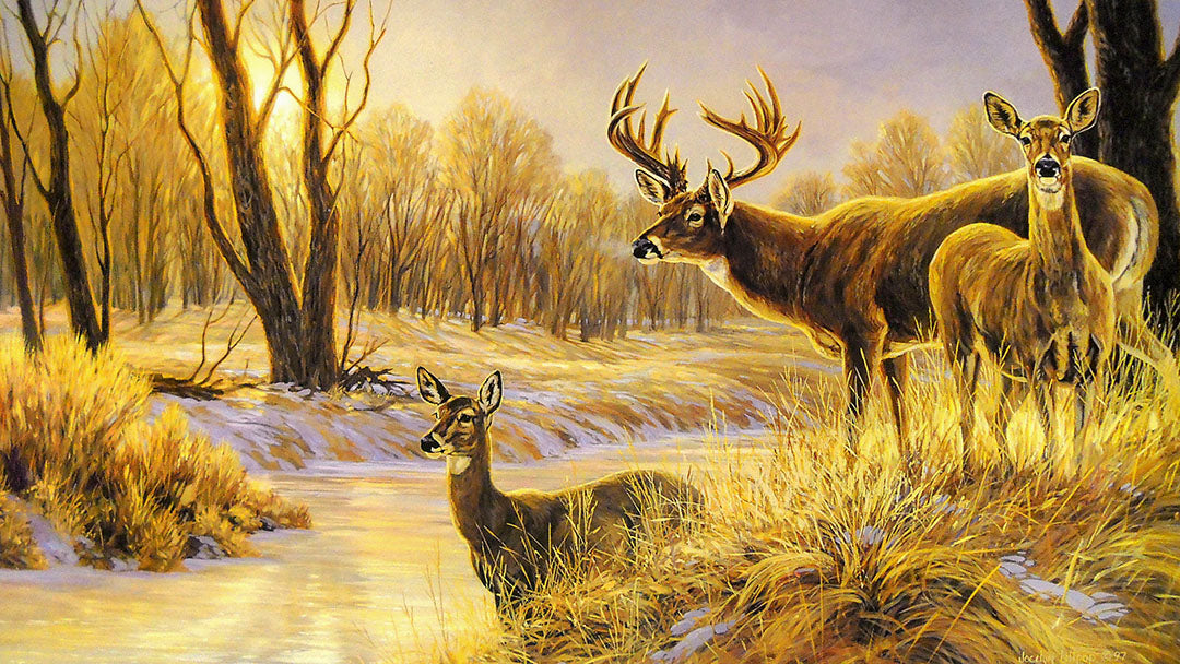 A painting of three deer standing along a wooded river bank. The ground is patched with snow, and the scene is bathed in golden light.