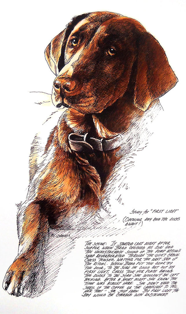 A hand-drawn portrait illustration of a brown Labrador dog wearing a collar, with handwritten notes on a white background.