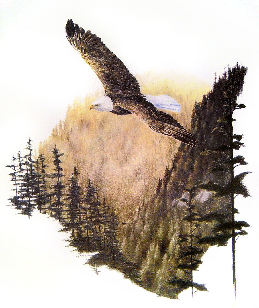 An illustration of a bald eagle flying over a mountainous deciduous forest.