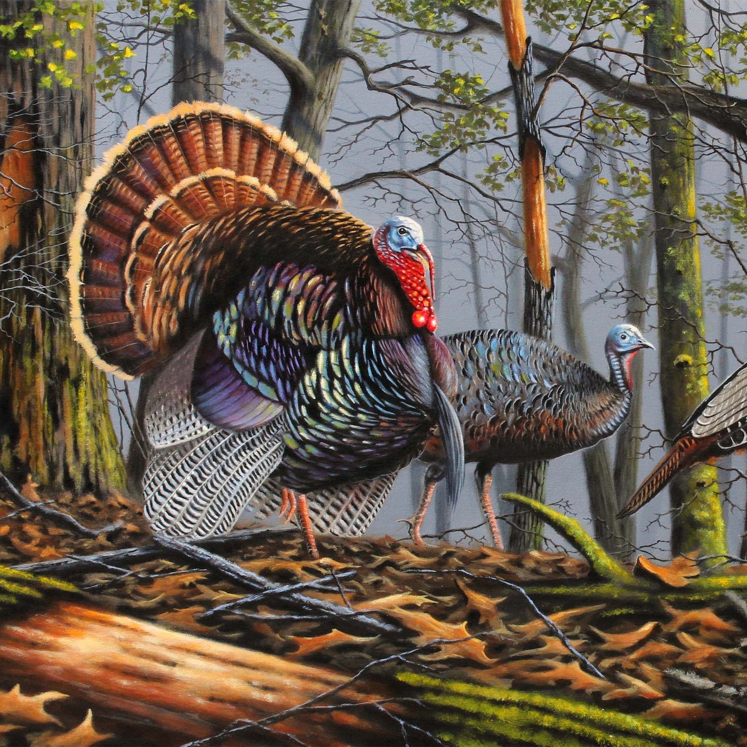 Painting of turkeys in a foggy forest. Leaves are on the ground, and deer can also be seen in the distance.