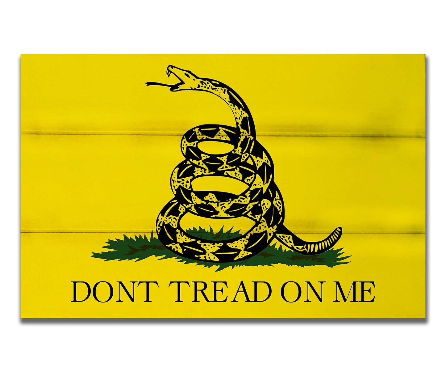 Gadsden Flag - "Don't Tread on Me"