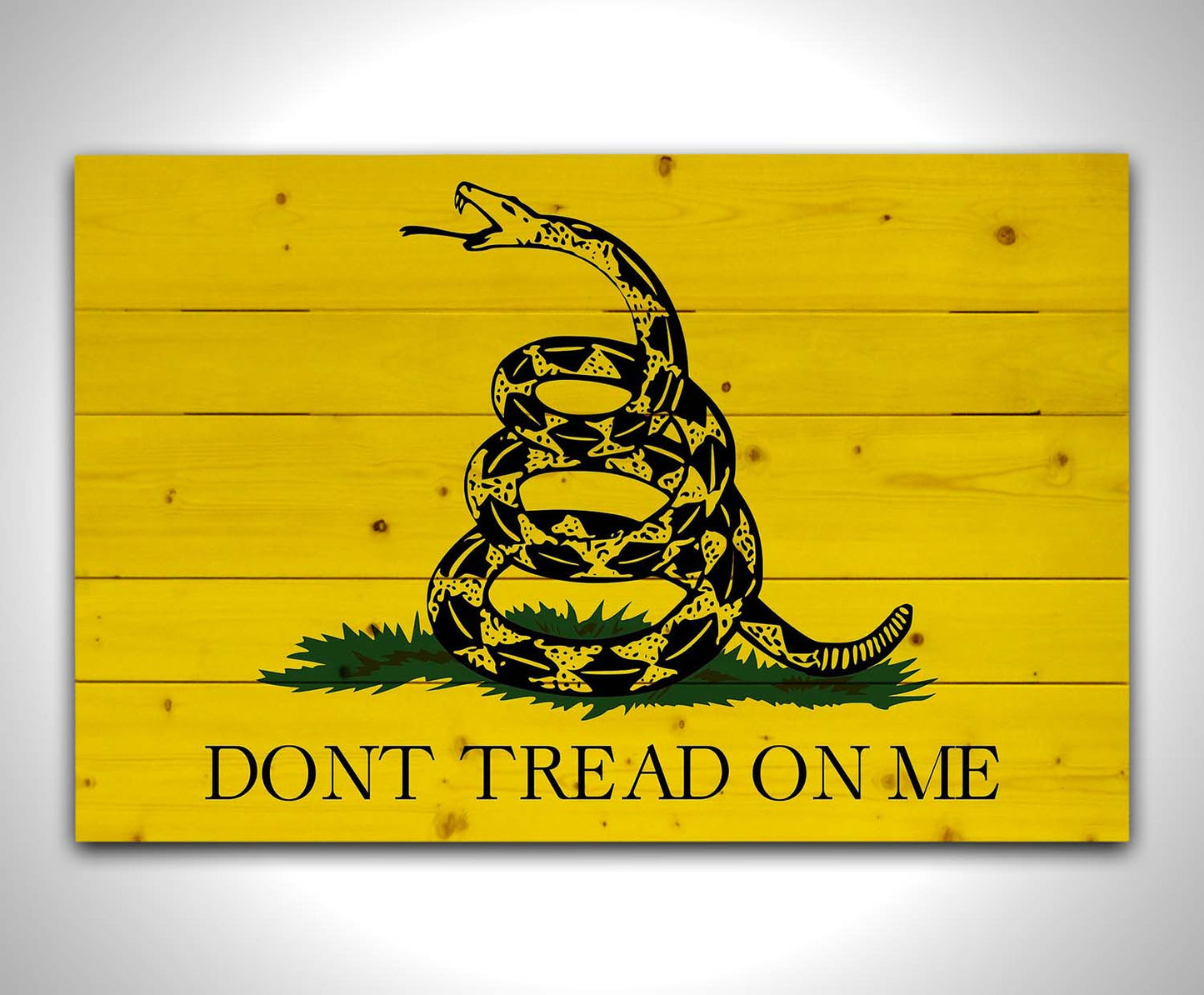 Gadsden Flag - "Don't Tread on Me"