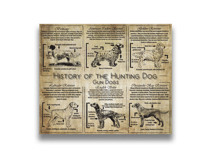 History of the Gun Dog - Breed Collage