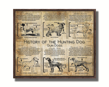 History of the Gun Dog - Breed Collage