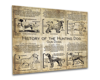 History of the Gun Dog - Breed Collage