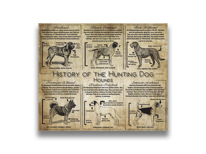 History of the Hound Dog - Breed Collage