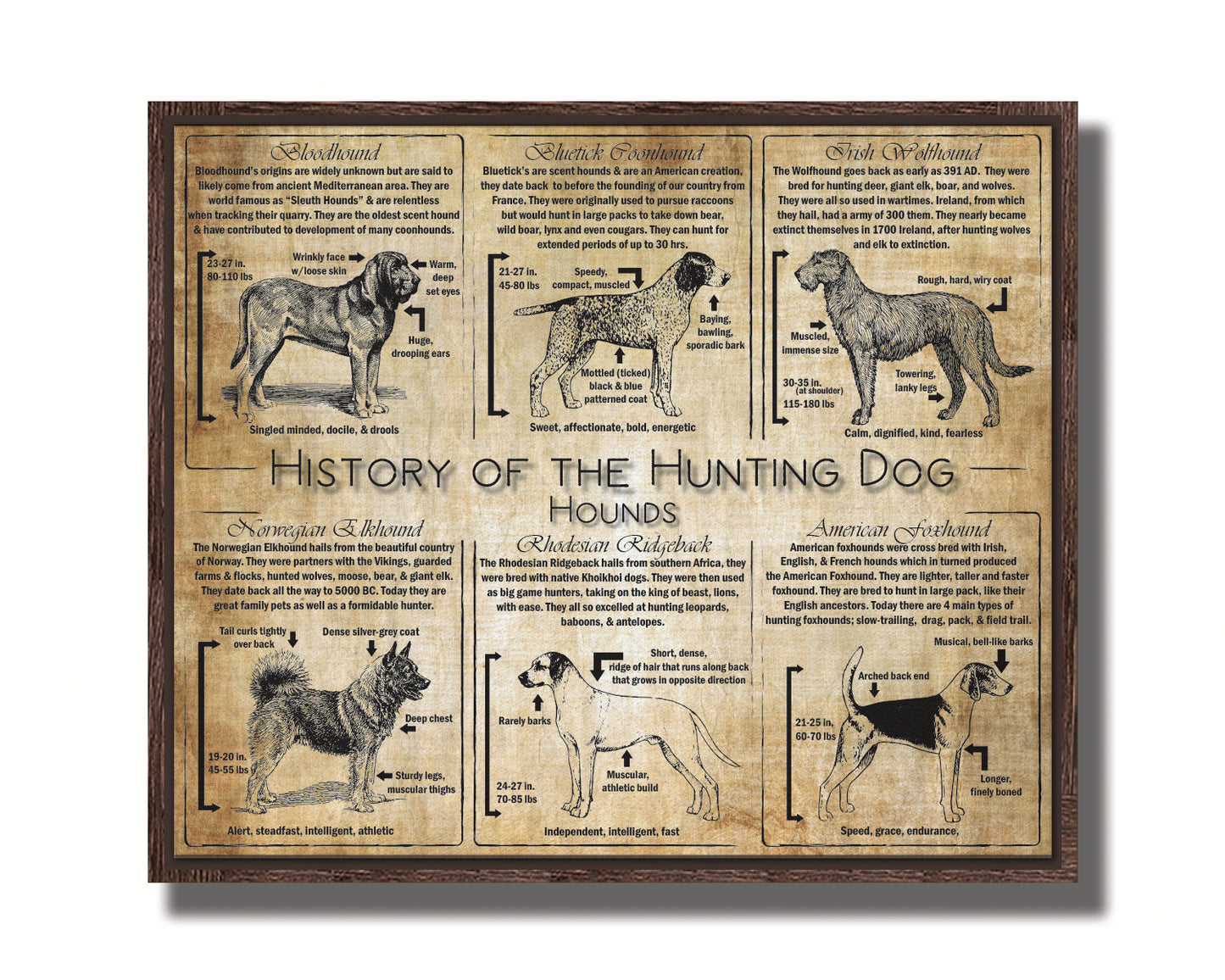 History of the Hound Dog - Breed Collage