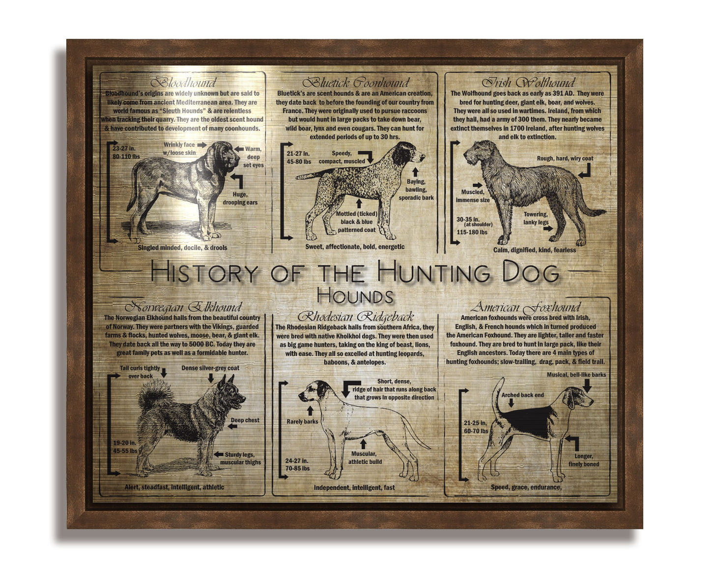 History of the Hound Dog - Breed Collage