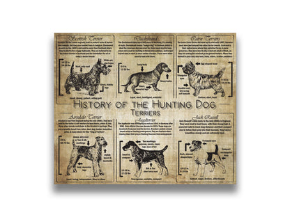 History of the Terrier - Breed Collage