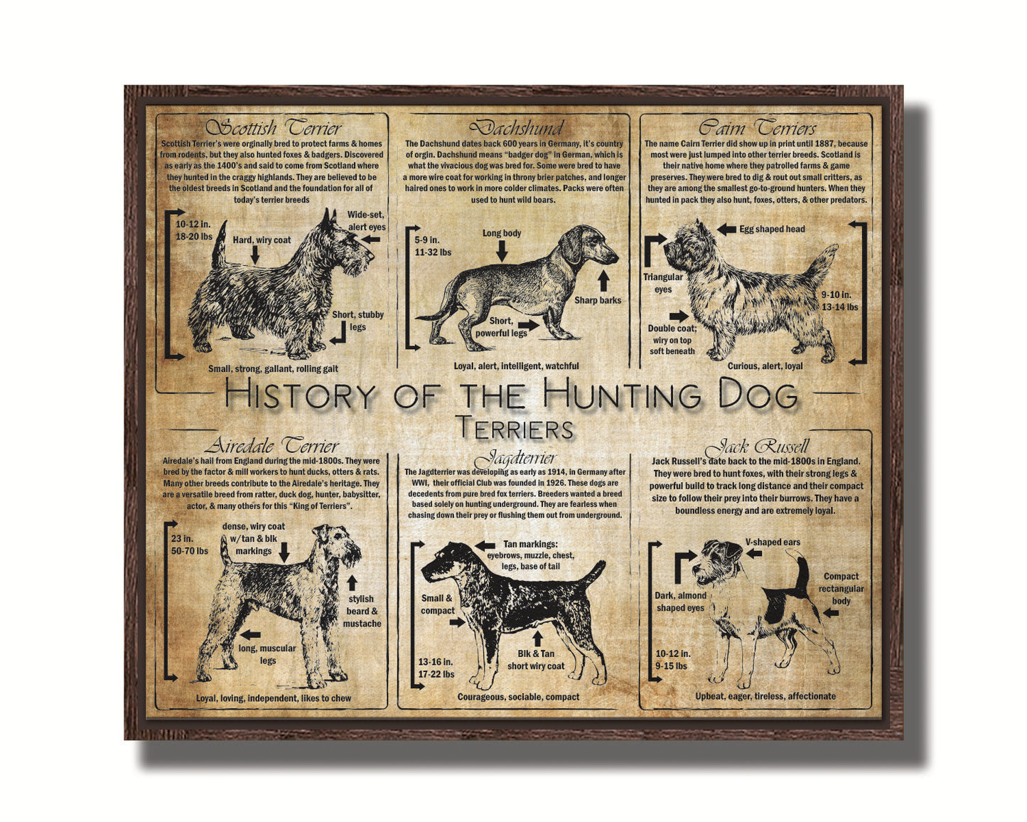 History of the Terrier - Breed Collage