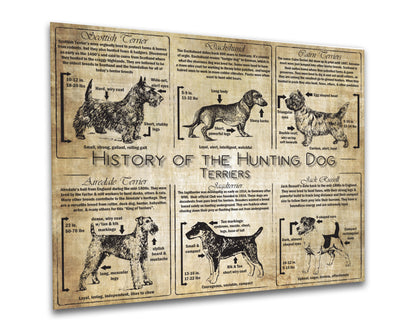 History of the Terrier - Breed Collage