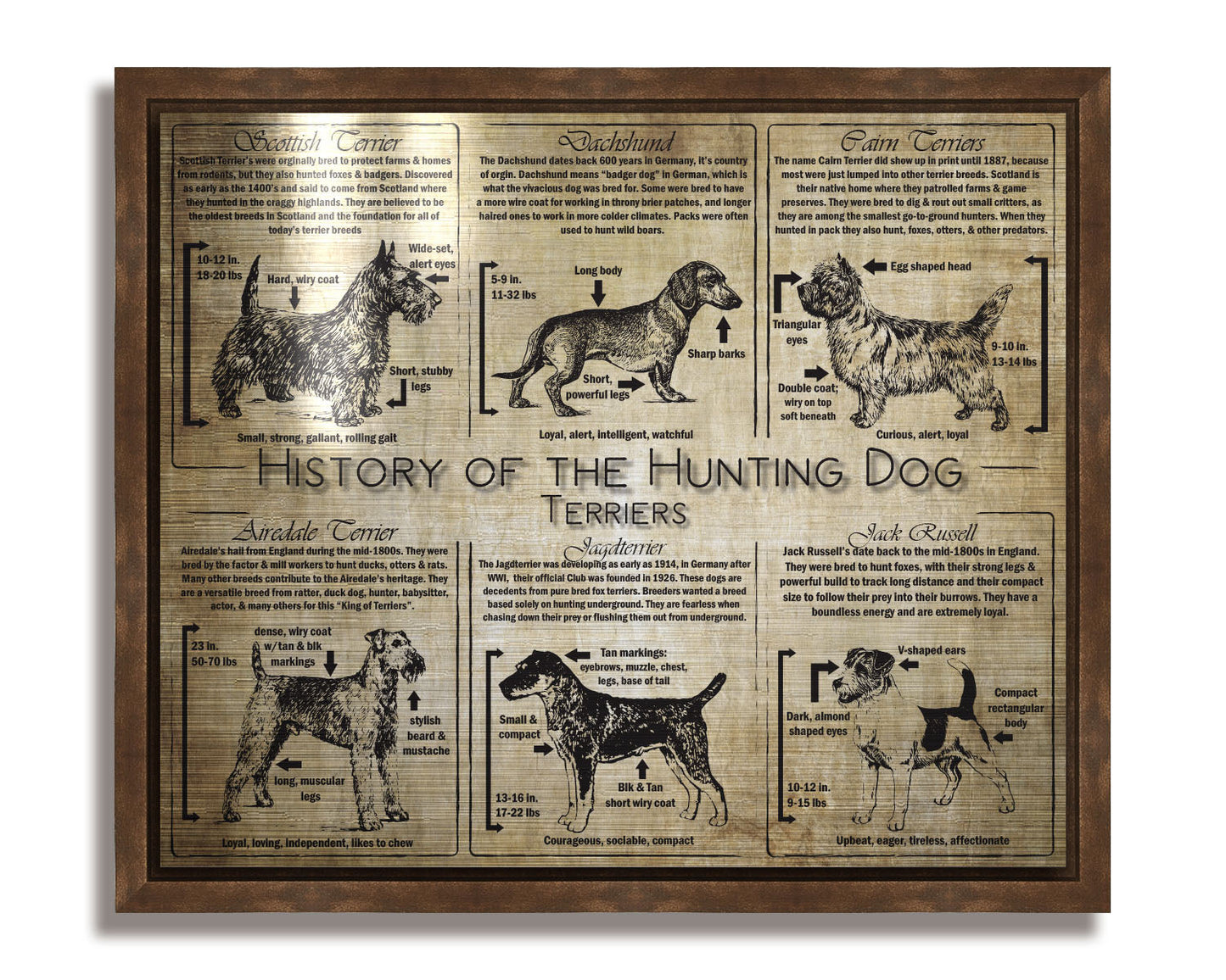 History of the Terrier - Breed Collage