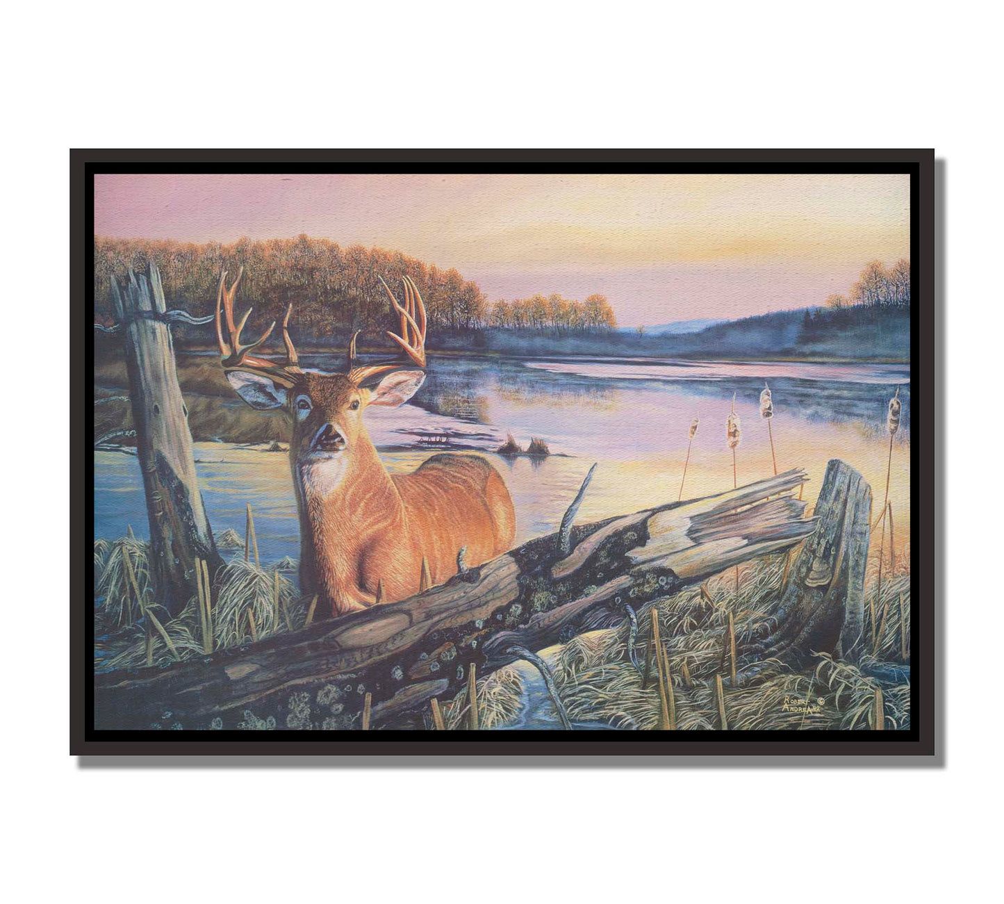 Painting of a deer in front of a lake reflecting the morning sky. Printed on canvas in a float frame.