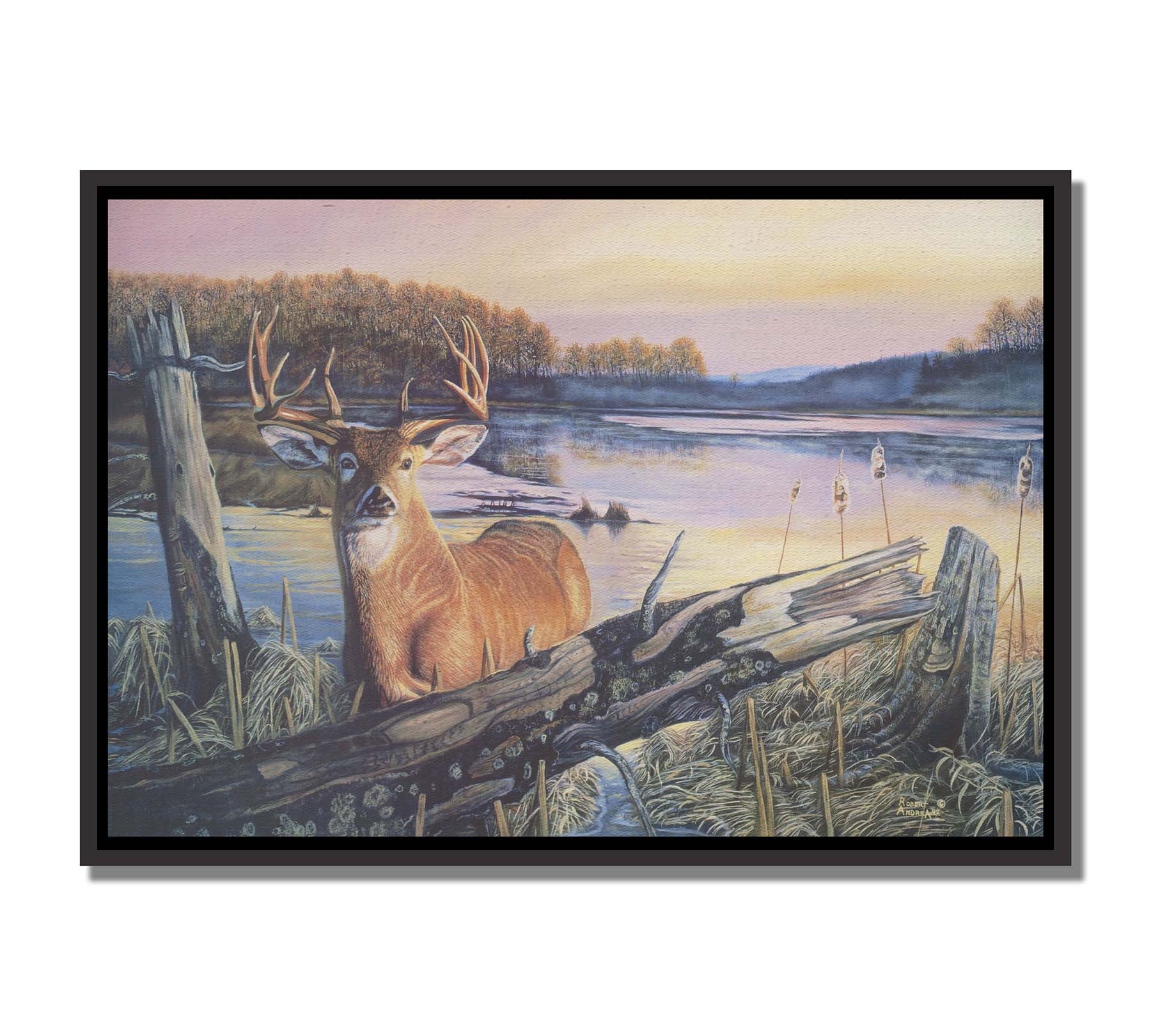 Painting of a deer in front of a lake reflecting the morning sky. Printed on canvas in a float frame.