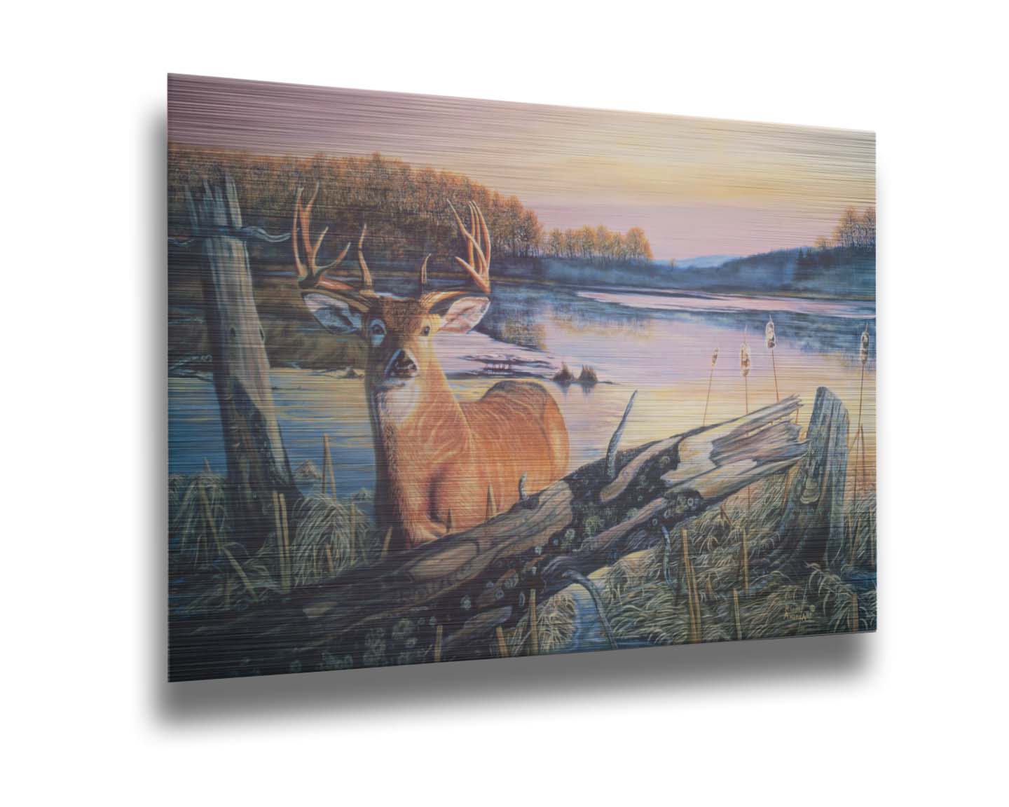 Painting of a deer in front of a lake reflecting the morning sky. Printed on metal.