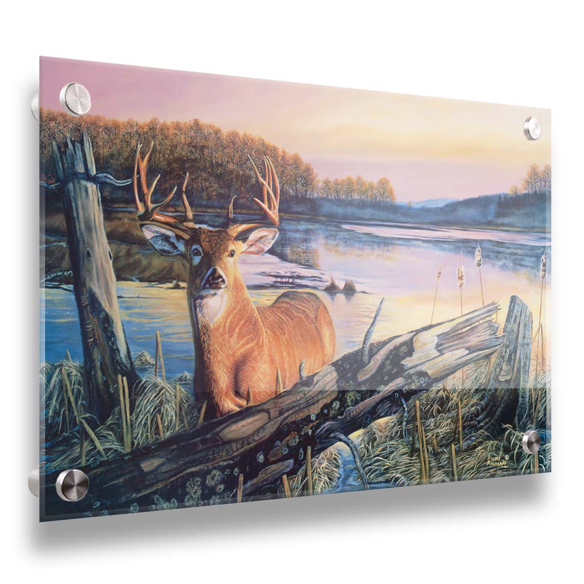 Painting of a deer in front of a lake reflecting the morning sky. Printed on acrylic.