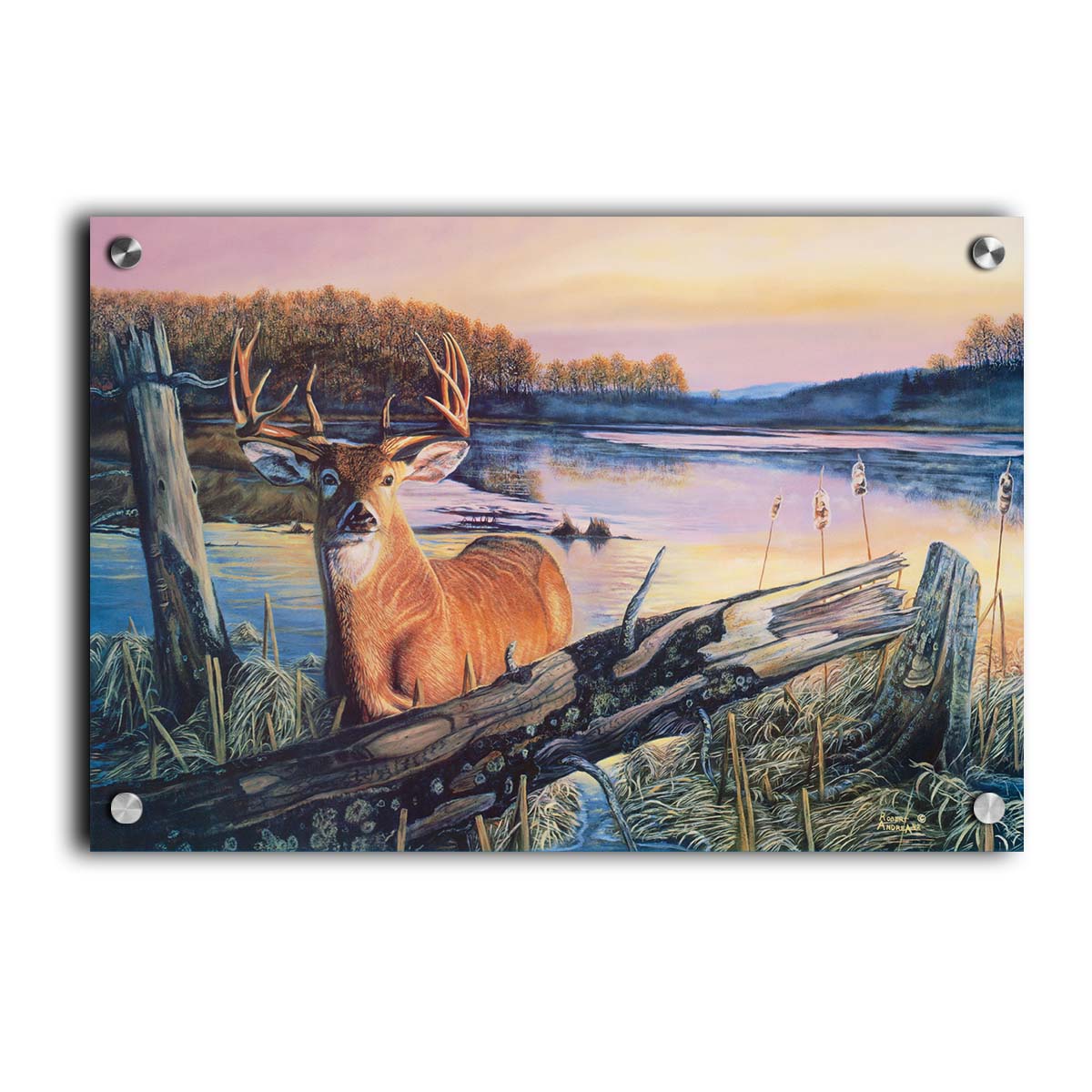 Painting of a deer in front of a lake reflecting the morning sky. Printed on acrylic.