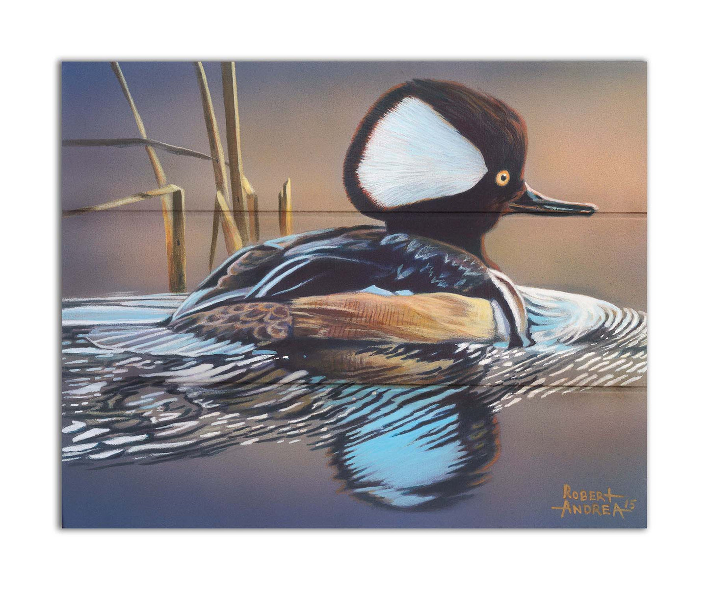 A painting of a hooded merganser duck, floating on the water with its reflection rippling below. Printed on a box board.