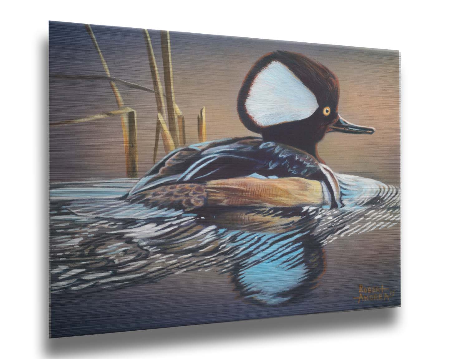 A painting of a hooded merganser duck, floating on the water with its reflection rippling below. Printed on metal.