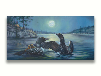 A painting of two grown loons, with two baby loons on one of their backs. They are floating on a lake under the moonlight, with a campground on the land in the distance. Printed on canvas.