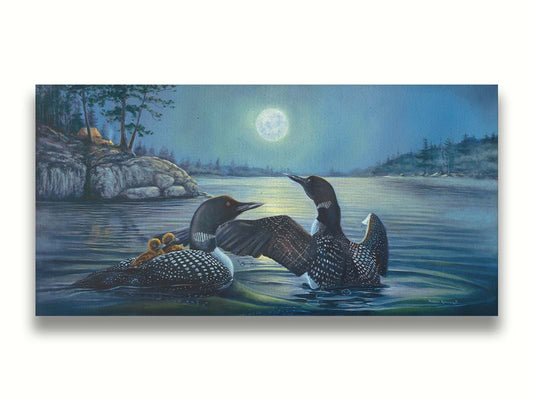 A painting of two grown loons, with two baby loons on one of their backs. They are floating on a lake under the moonlight, with a campground on the land in the distance. Printed on canvas.