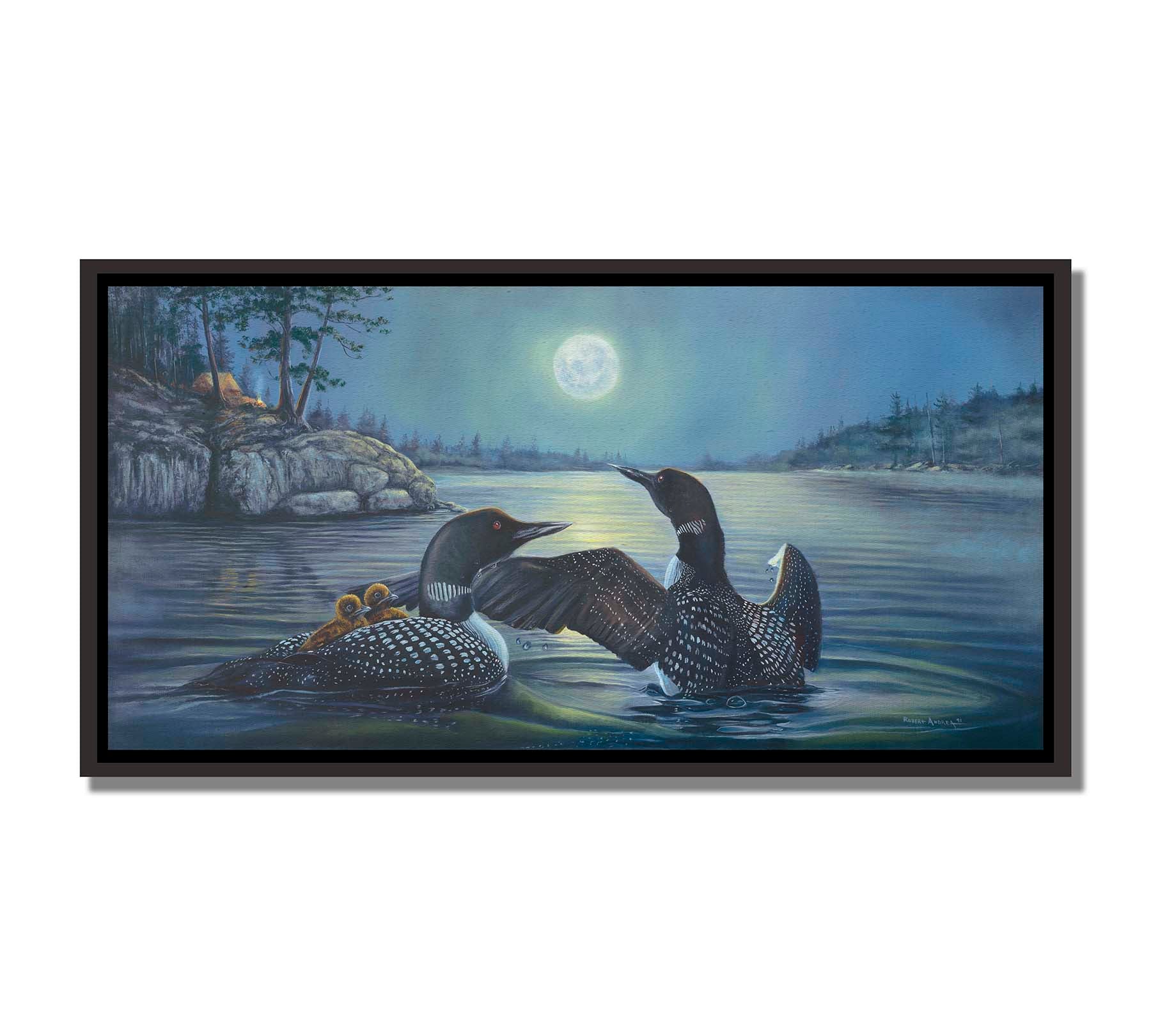 A painting of two grown loons, with two baby loons on one of their backs. They are floating on a lake under the moonlight, with a campground on the land in the distance. Printed on canvas in a float frame.