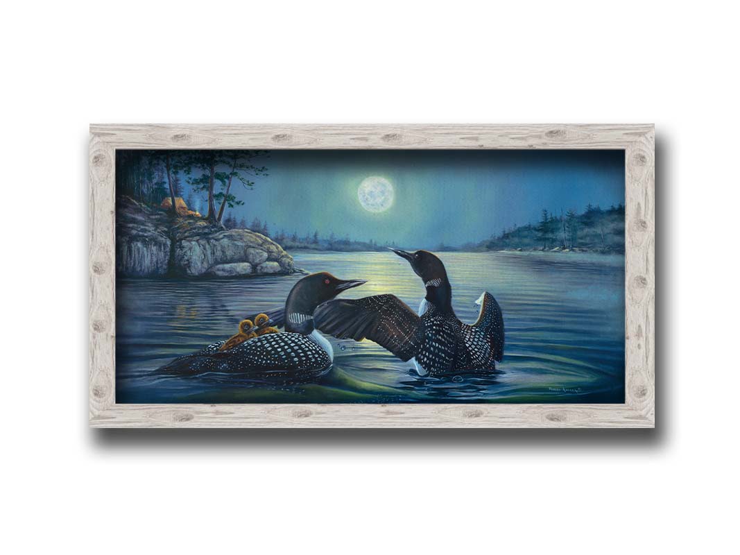 A painting of two grown loons, with two baby loons on one of their backs. They are floating on a lake under the moonlight, with a campground on the land in the distance. Printed on canvas and framed.