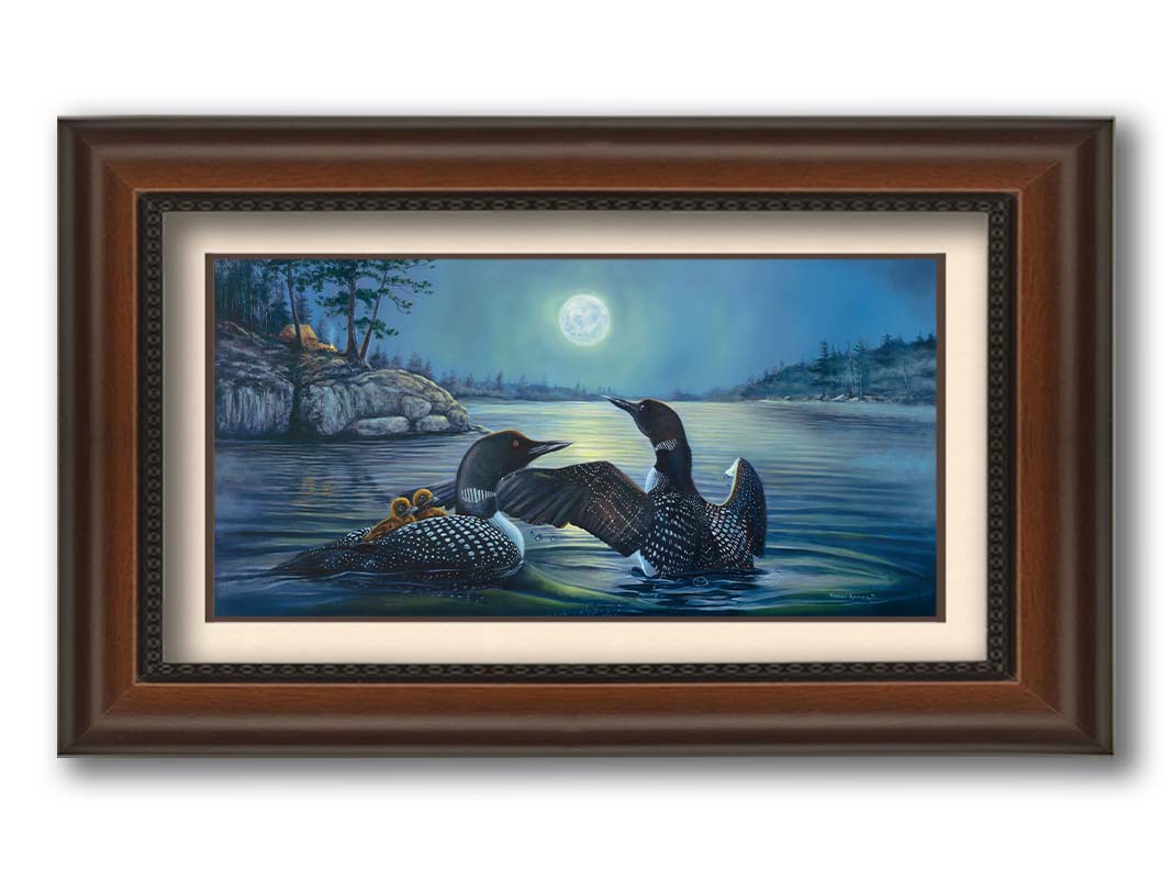 A painting of two grown loons, with two baby loons on one of their backs. They are floating on a lake under the moonlight, with a campground on the land in the distance. Printed on paper, matted, and framed.