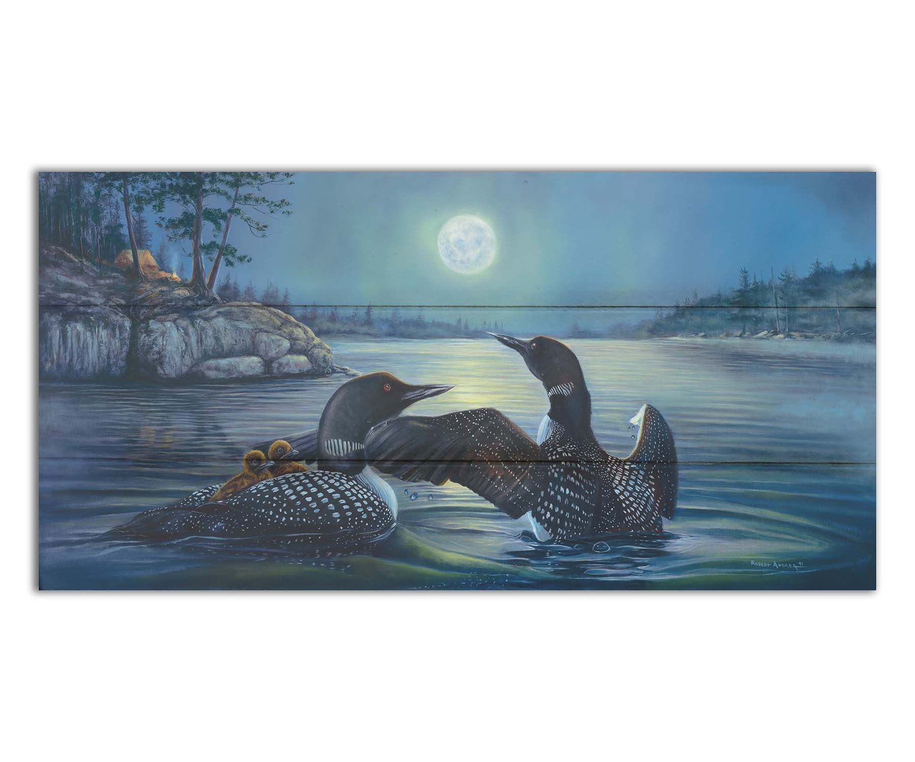 A painting of two grown loons, with two baby loons on one of their backs. They are floating on a lake under the moonlight, with a campground on the land in the distance. Printed on a box board.